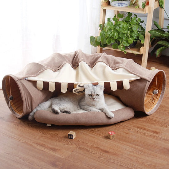 PEt cat tunnel